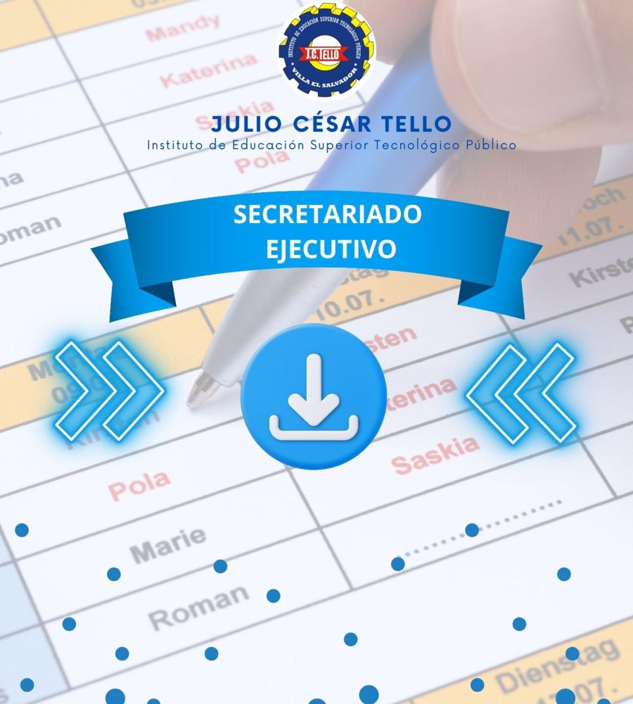 SECRETARIADO EJECUTIVO (6)